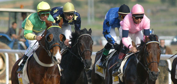 Hip�dromo Costa del Sol de Mijas