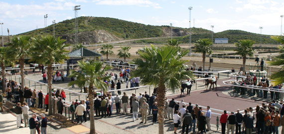 Hip�dromo Costa del Sol de Mijas