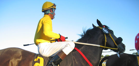 Hip�dromo Costa del Sol de Mijas