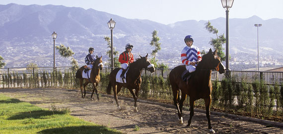 Hip�dromo Costa del Sol de Mijas